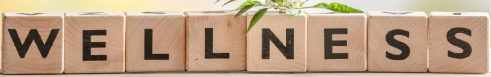 Wellness banner.png