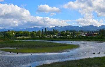 Stream in Comox