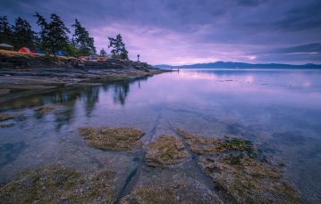 Rocky shoreline along purple blue waters with many small camping tents dotting along left side a small lighthouse juts into the water against indigo sky Salt Spring Vancouver Island BC Canada