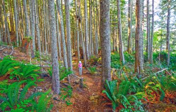 Adult female wearing bright pink top walks through a trail in a forest