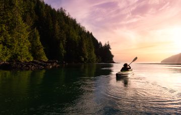 Back of kayaker cruising next to forested shoreline
