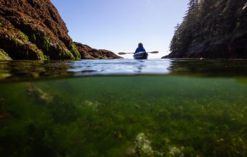 Back of kayaker