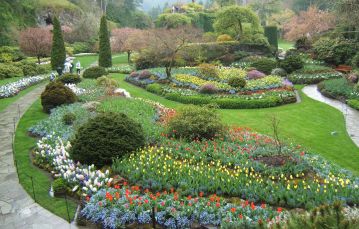 Flower garden in bloom at springtime located in Butchart Gardens near Victoria on a rainy day