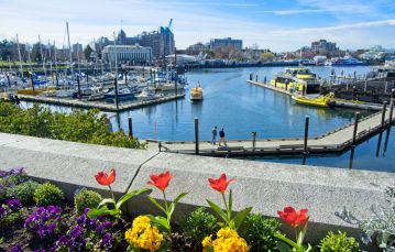 ocean harbour 